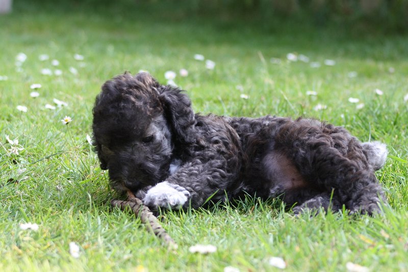 Arc-en-ciel Antares 2009-06-30 (21).JPG